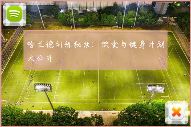 哈兰德训练秘诀：饮食与健身计划大公开