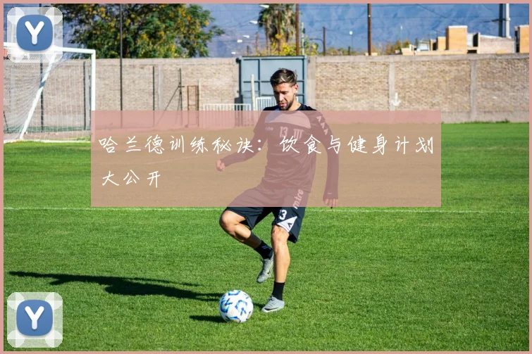 哈兰德训练秘诀：饮食与健身计划大公开